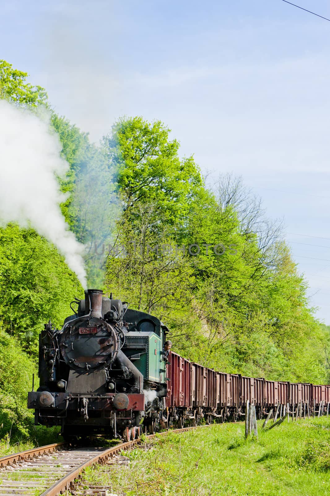 steam freight train, Durdevik, Bosnia and Hercegovina by phbcz