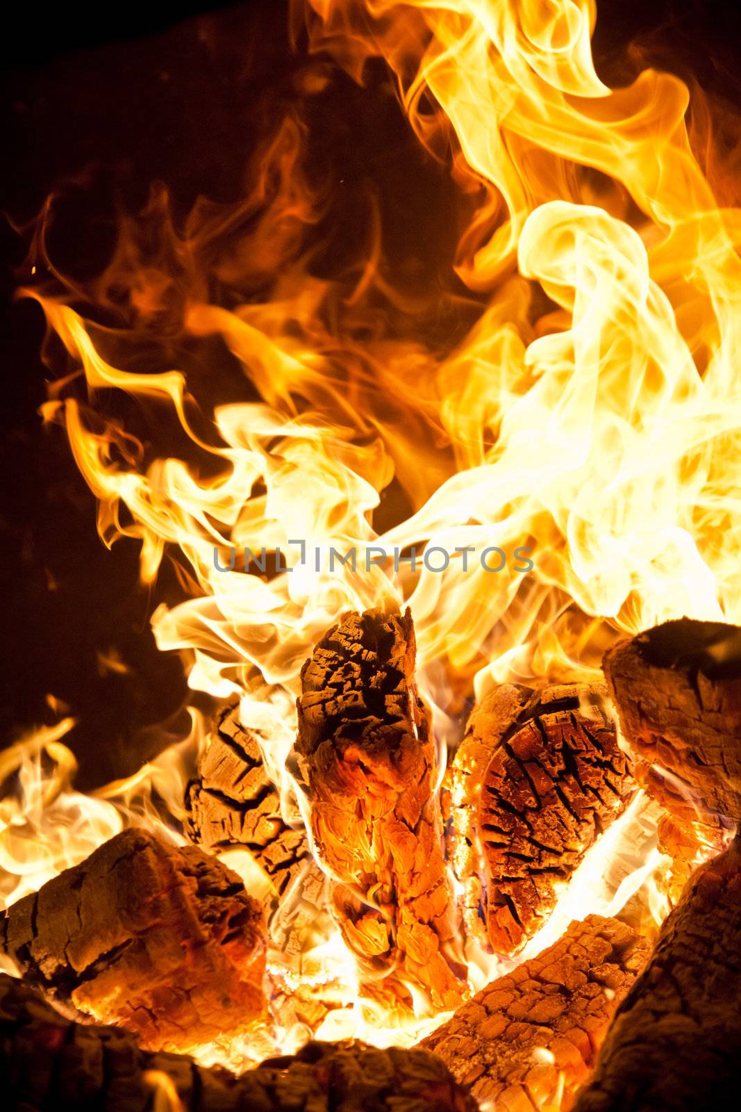 Close-up of flames and log wood burning