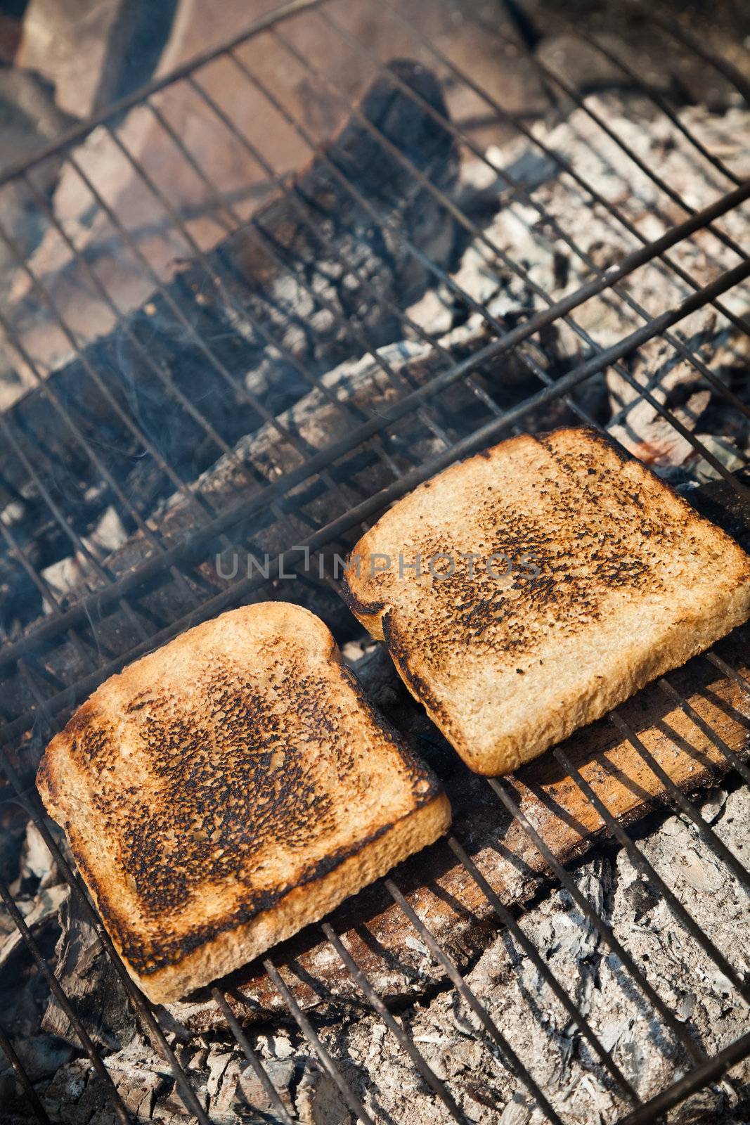 Toasted bread on the grill in nature