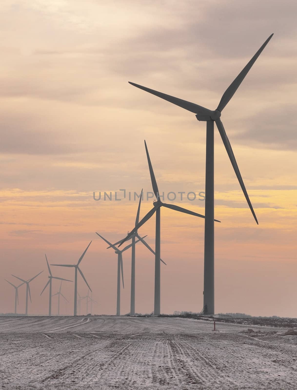 Evening image of a misty field with windturbines during the winter.