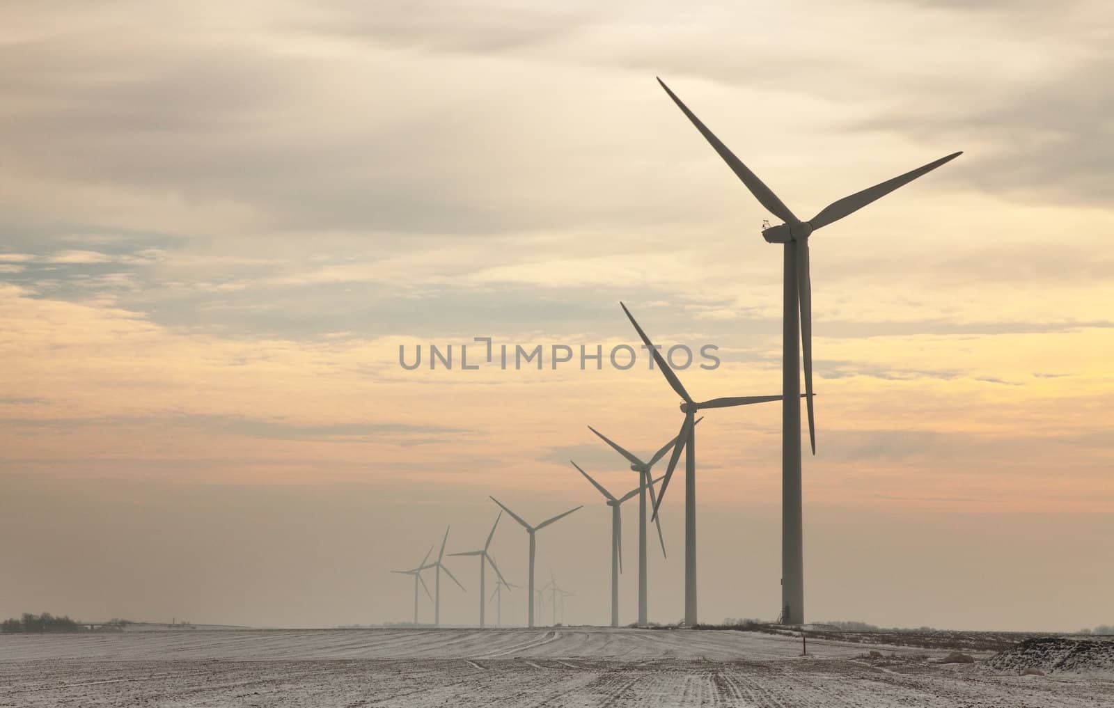 Evening image of a misty field with windturbines during the winter.