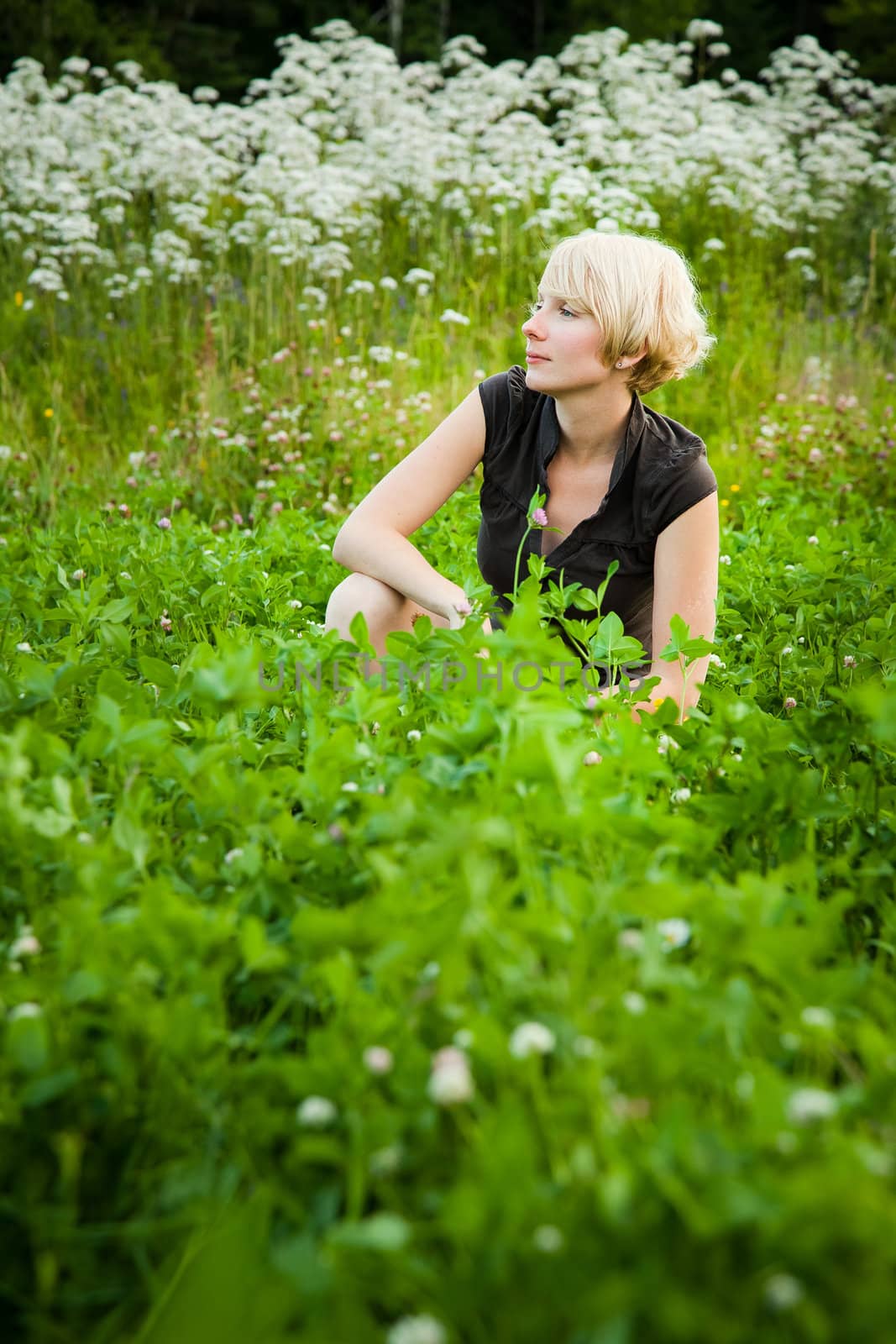 Girl in a field of flowers
