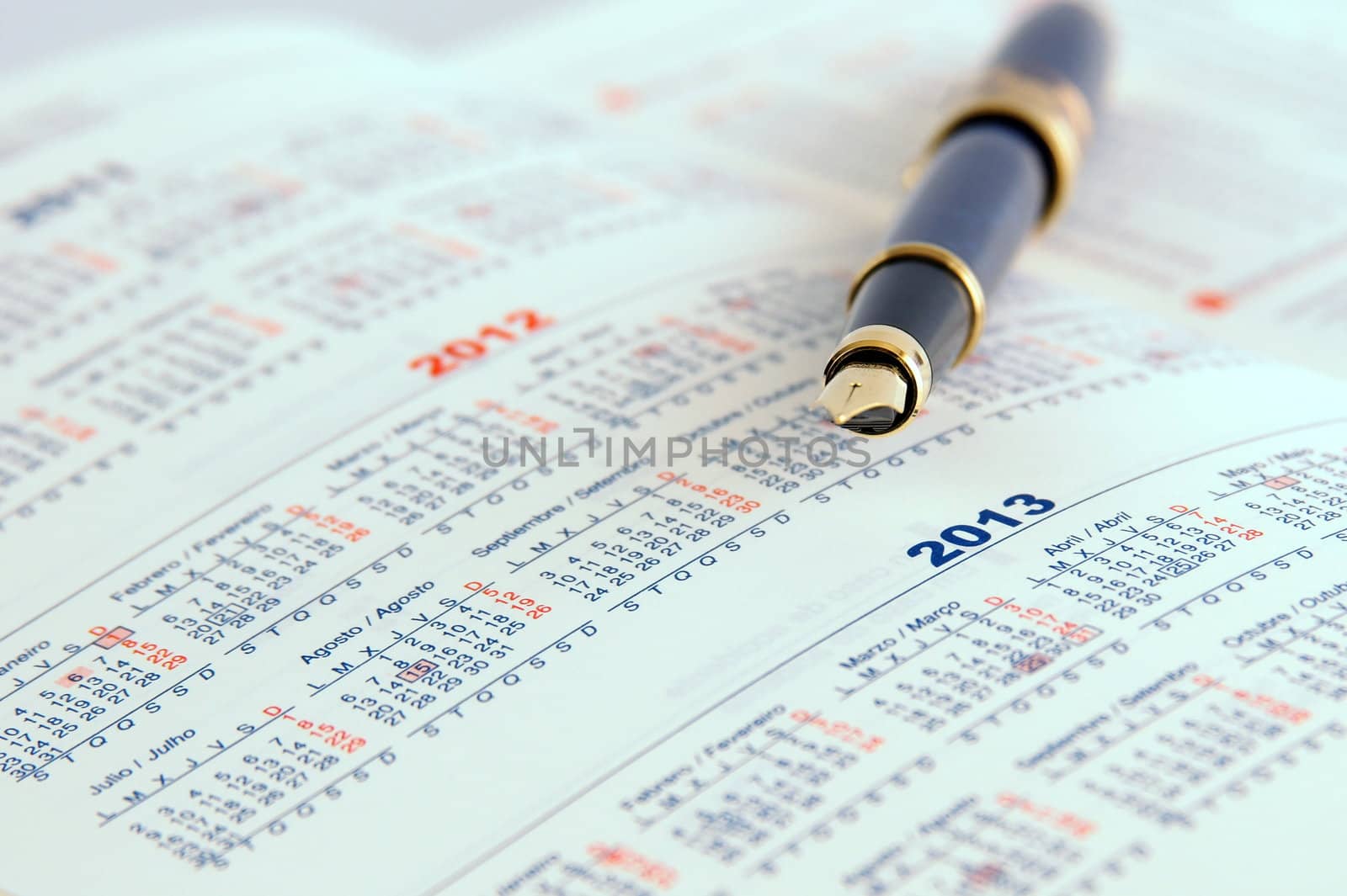 Selective focus of a calendar with a fountain pen. 2013 Year in focus.