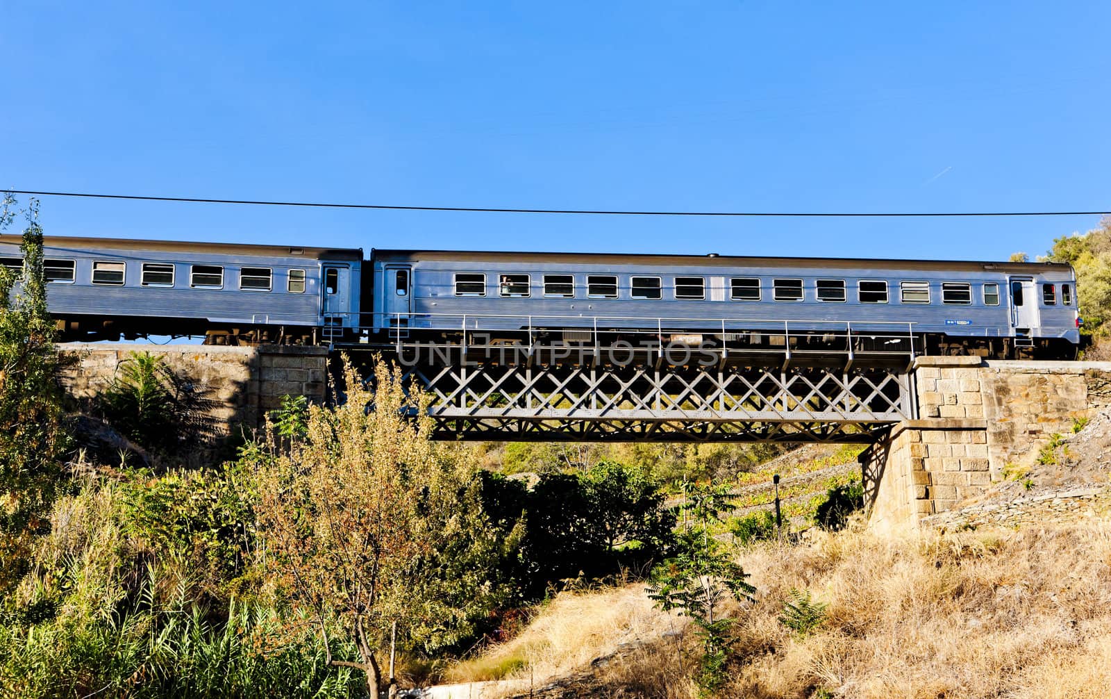 train on railway viaduct in Douro Valley, Portugal