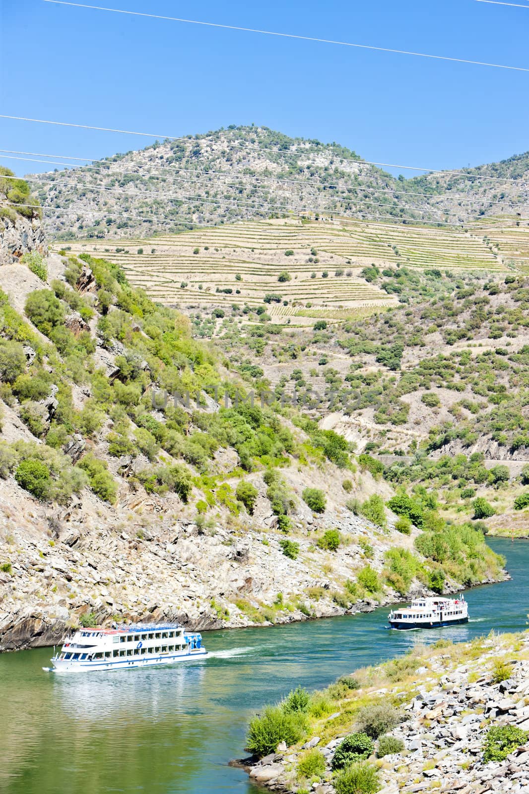 cruise ships in Douro Valley, Portugal