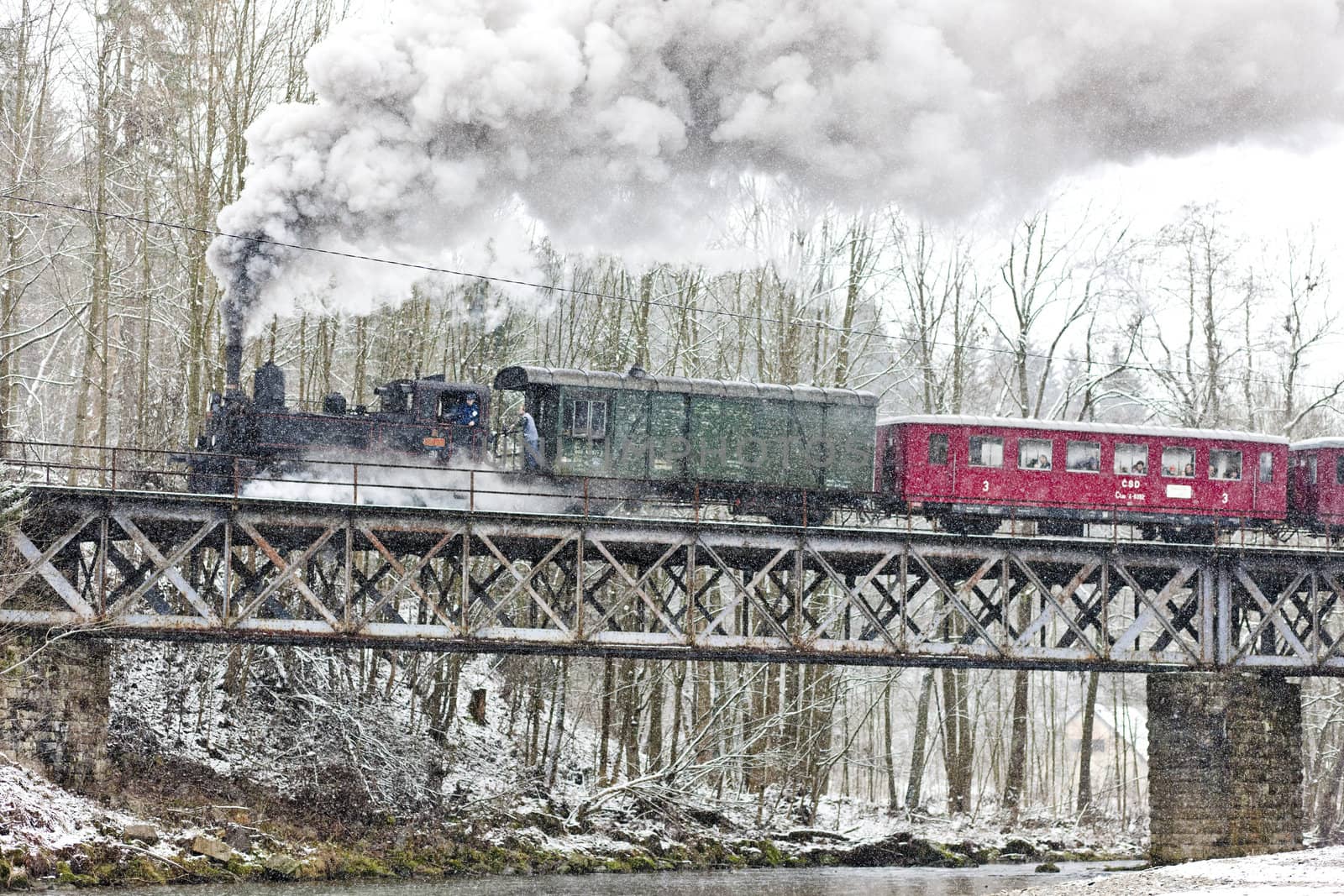 steam train near Hradsko, Czech Republic