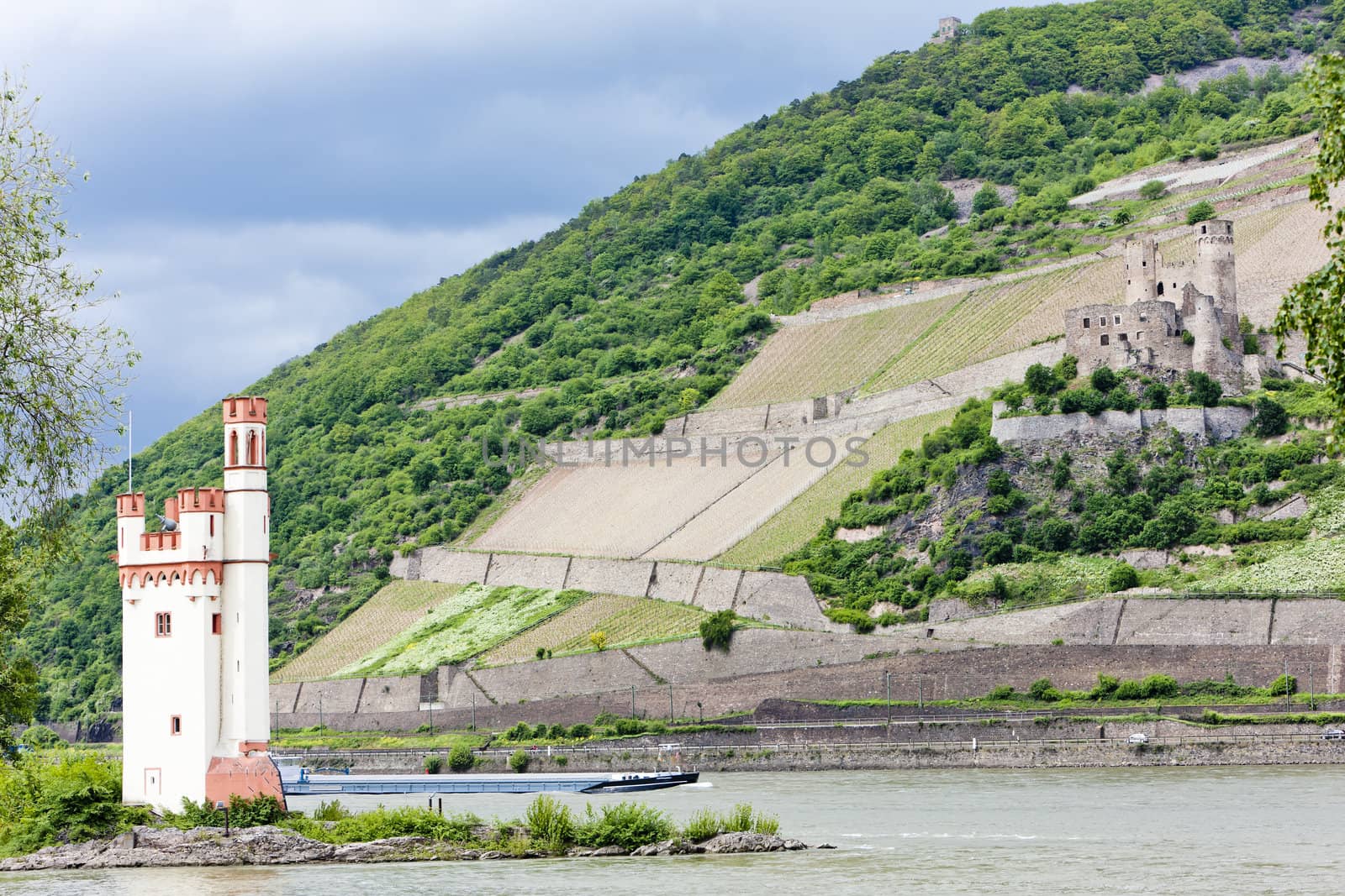 Mouse Tower and ruins of Ehrenfels Castle, Rhineland-Palatinate, Germany