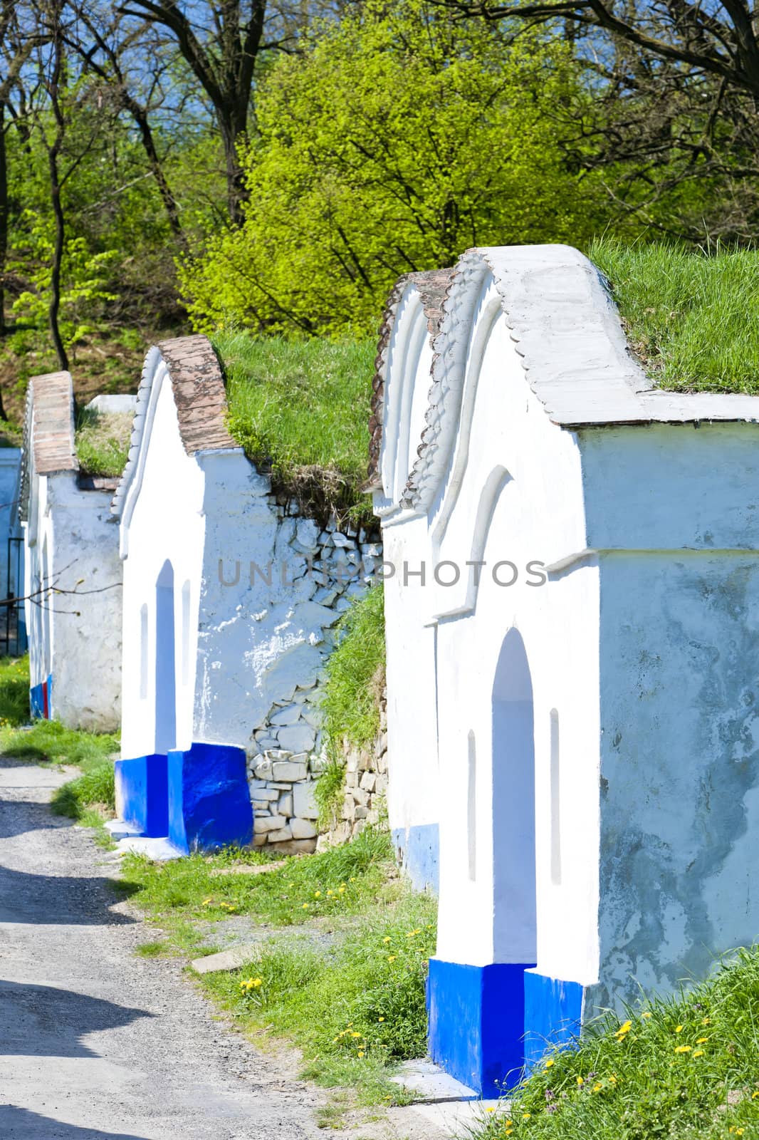 wine cellars, Petrov - Plze, Czech Republic