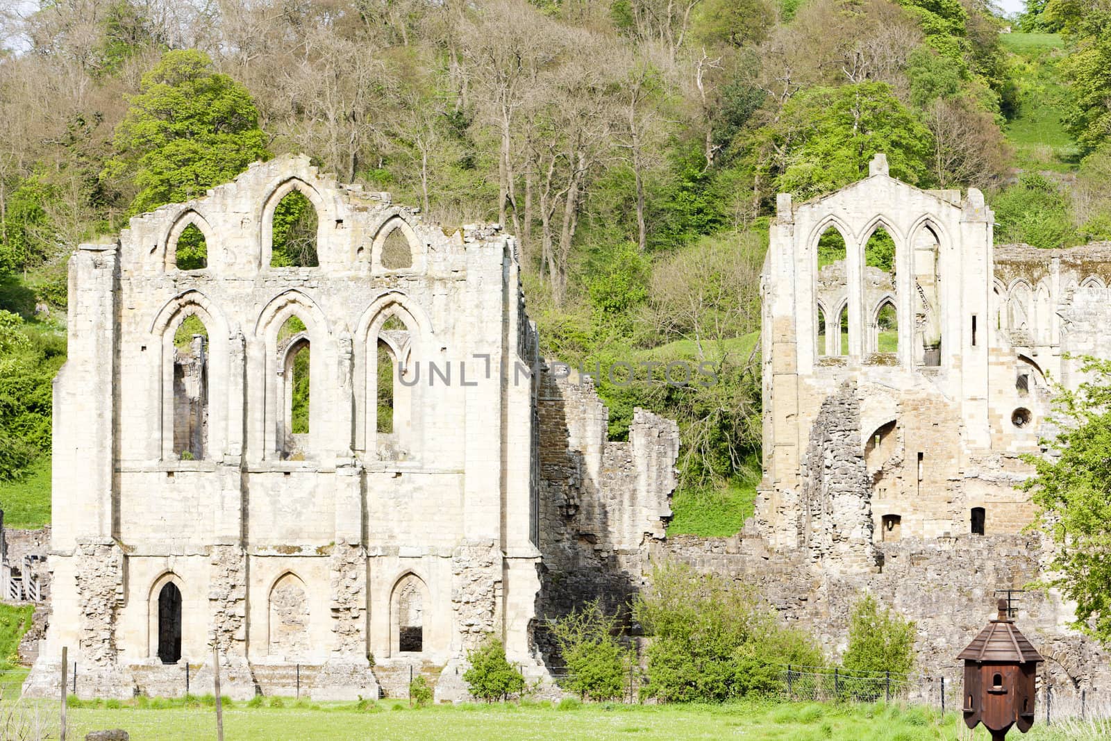 ruins of Rievaulx Abbey, North Yorkshire, England