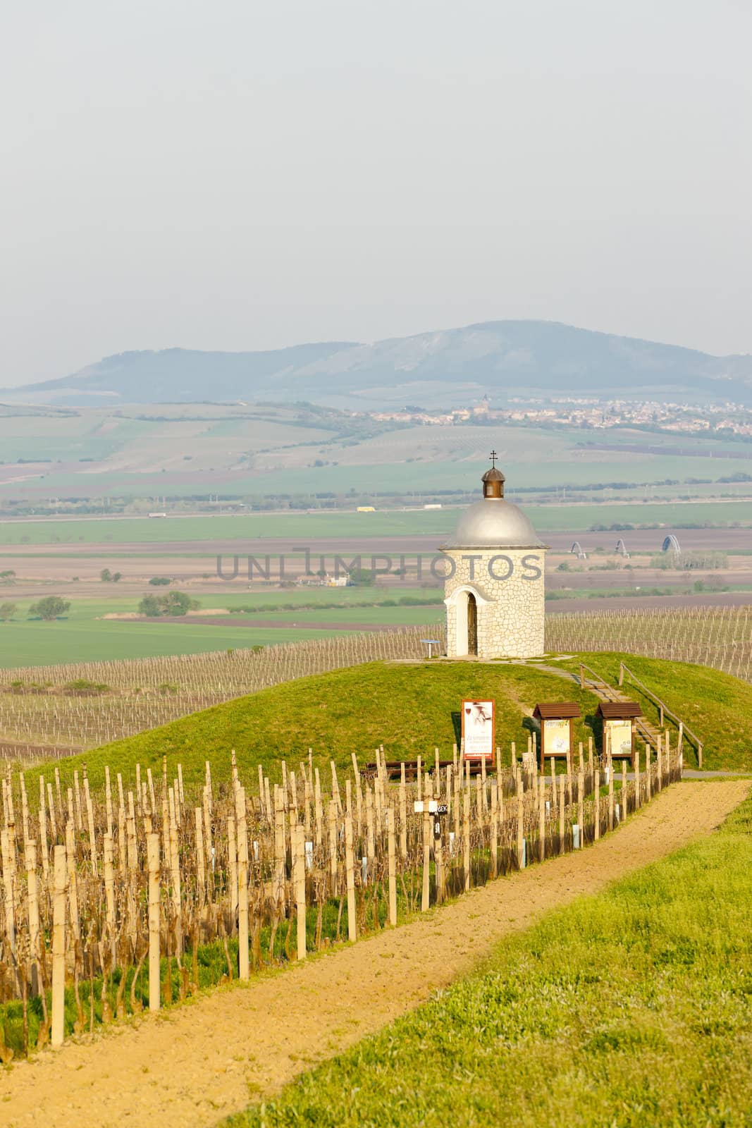 chapel with vineyard near Velke Bilovice, Czech Republic