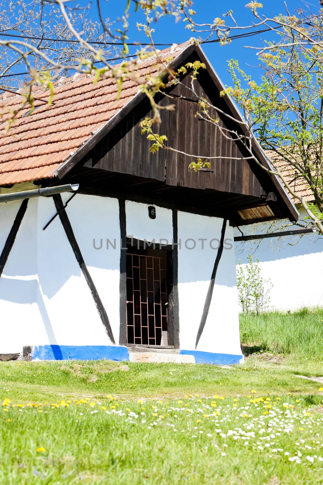 wine cellar, Vlcnov, Czech Republic