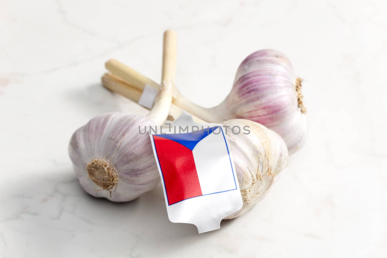 Czech garlic by phbcz