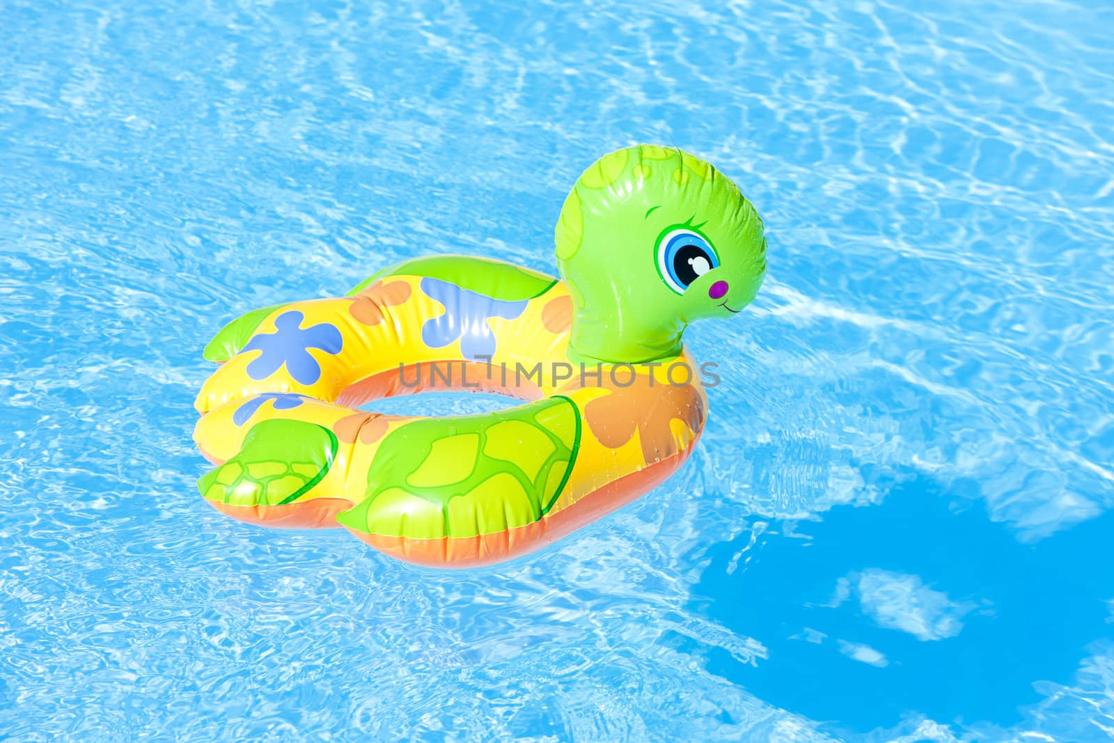 child's green rubber ring in swimming pool