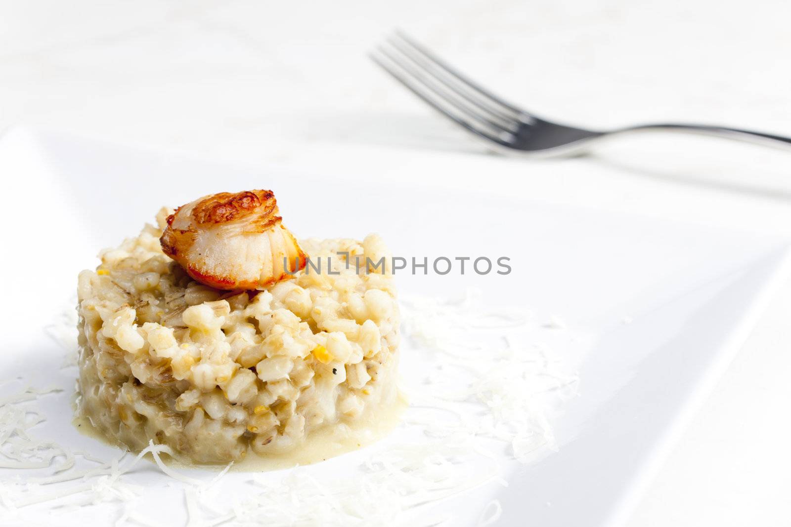 fried Saint Jacques mollusc with pearl barley risotto