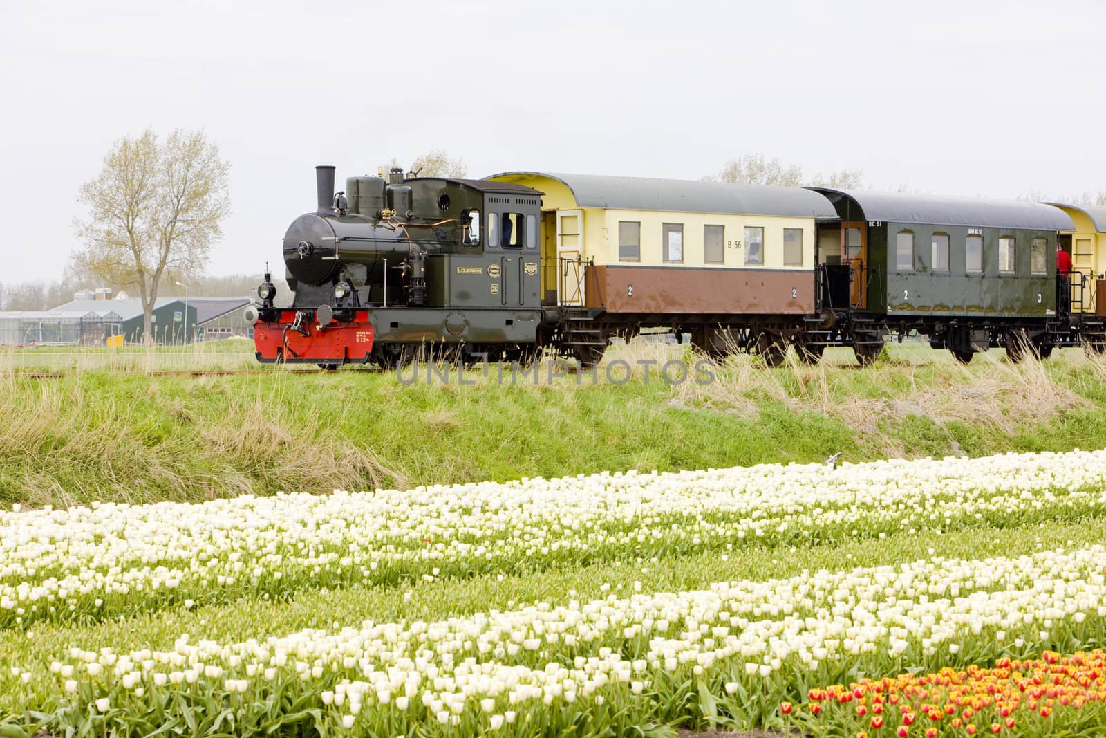 steam train, Hoorn - Medemblik, Noord Holland, Netherlands by phbcz