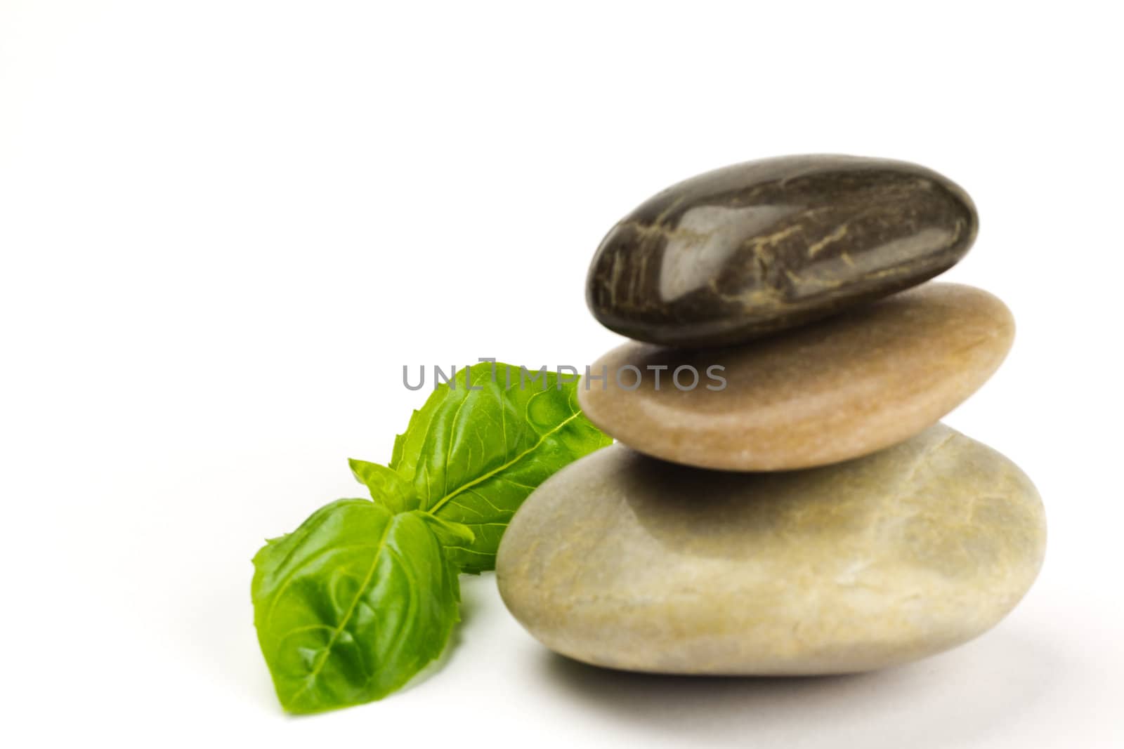A stack of three pebbles and green leaves