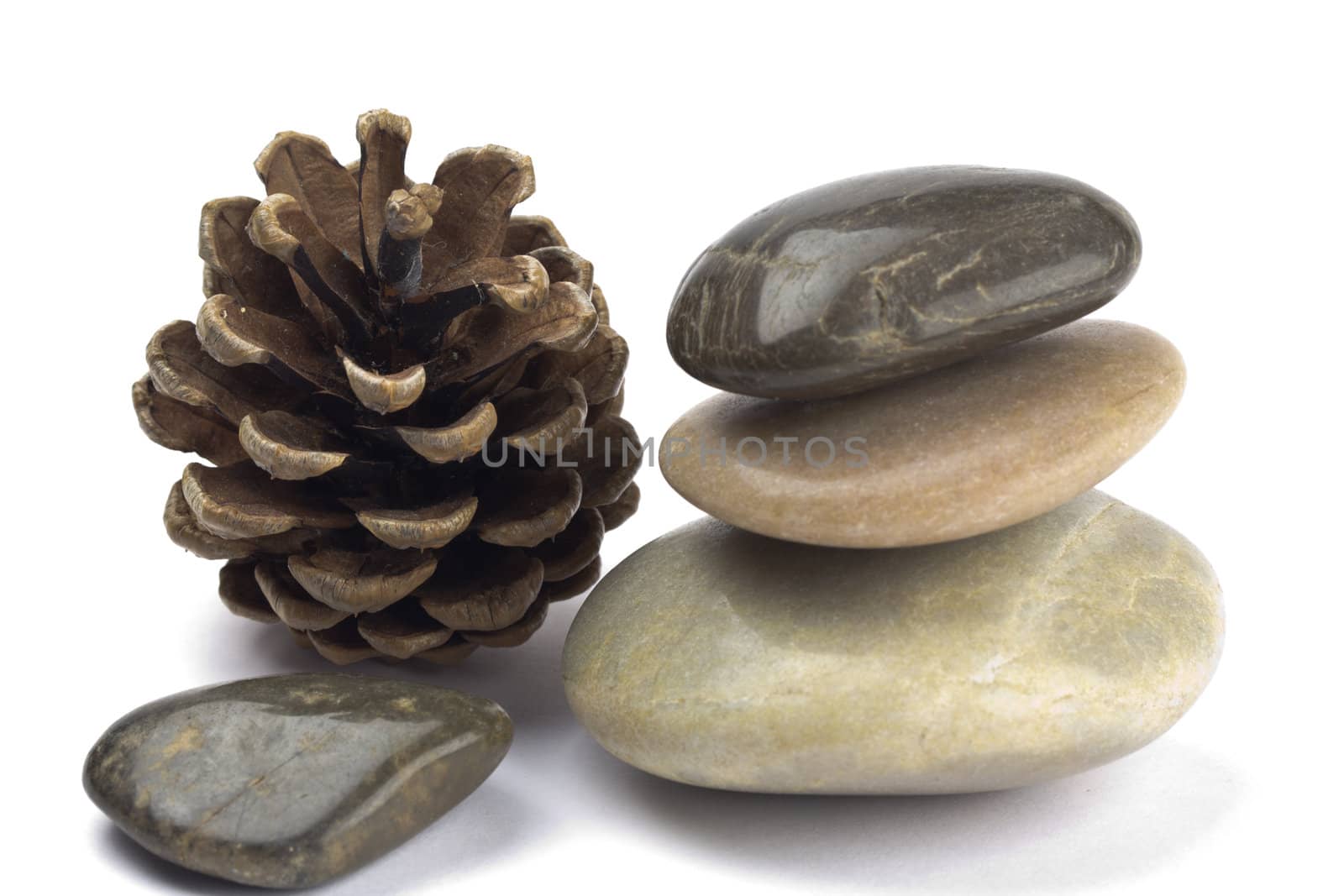 Stack of Pebbles and a pine cone