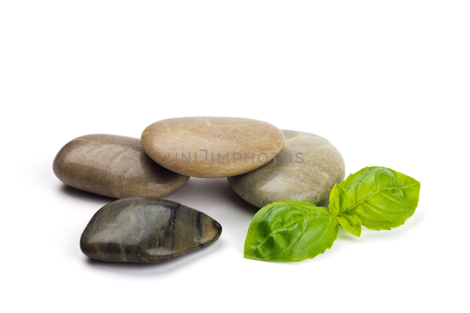 Smooth shiny Pebbles and fresh green leaves