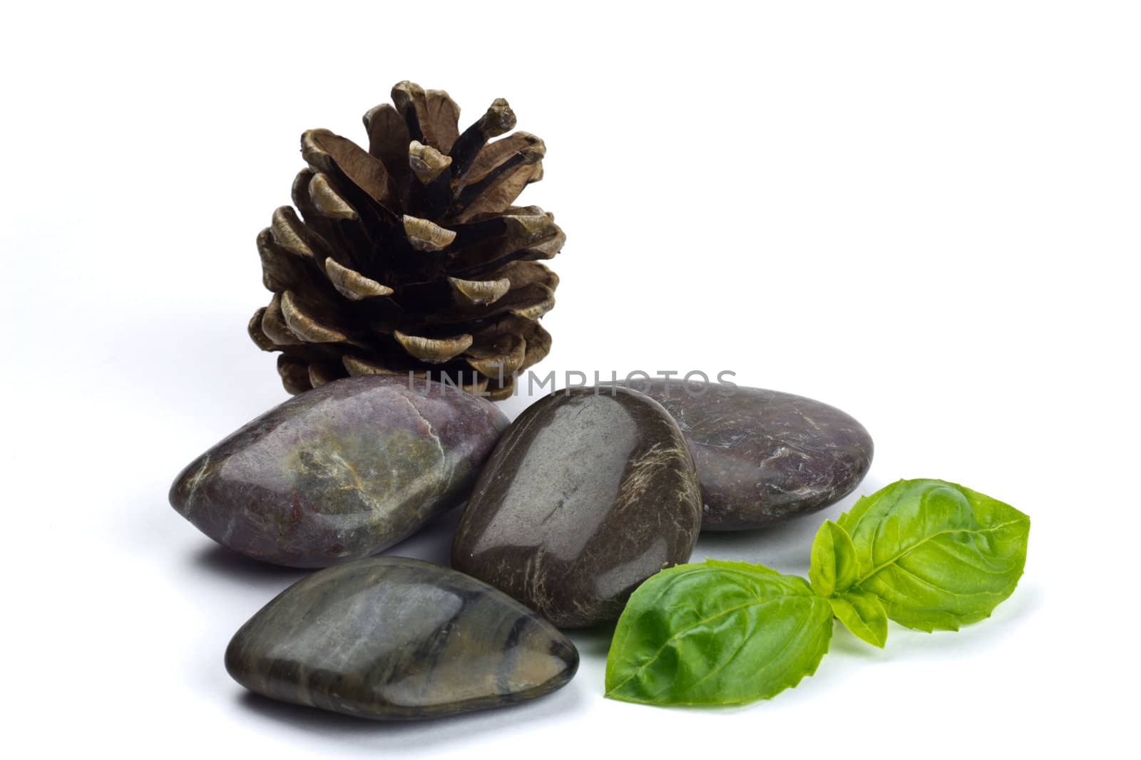 Dark Shiny Pebbles with a cone and leaves