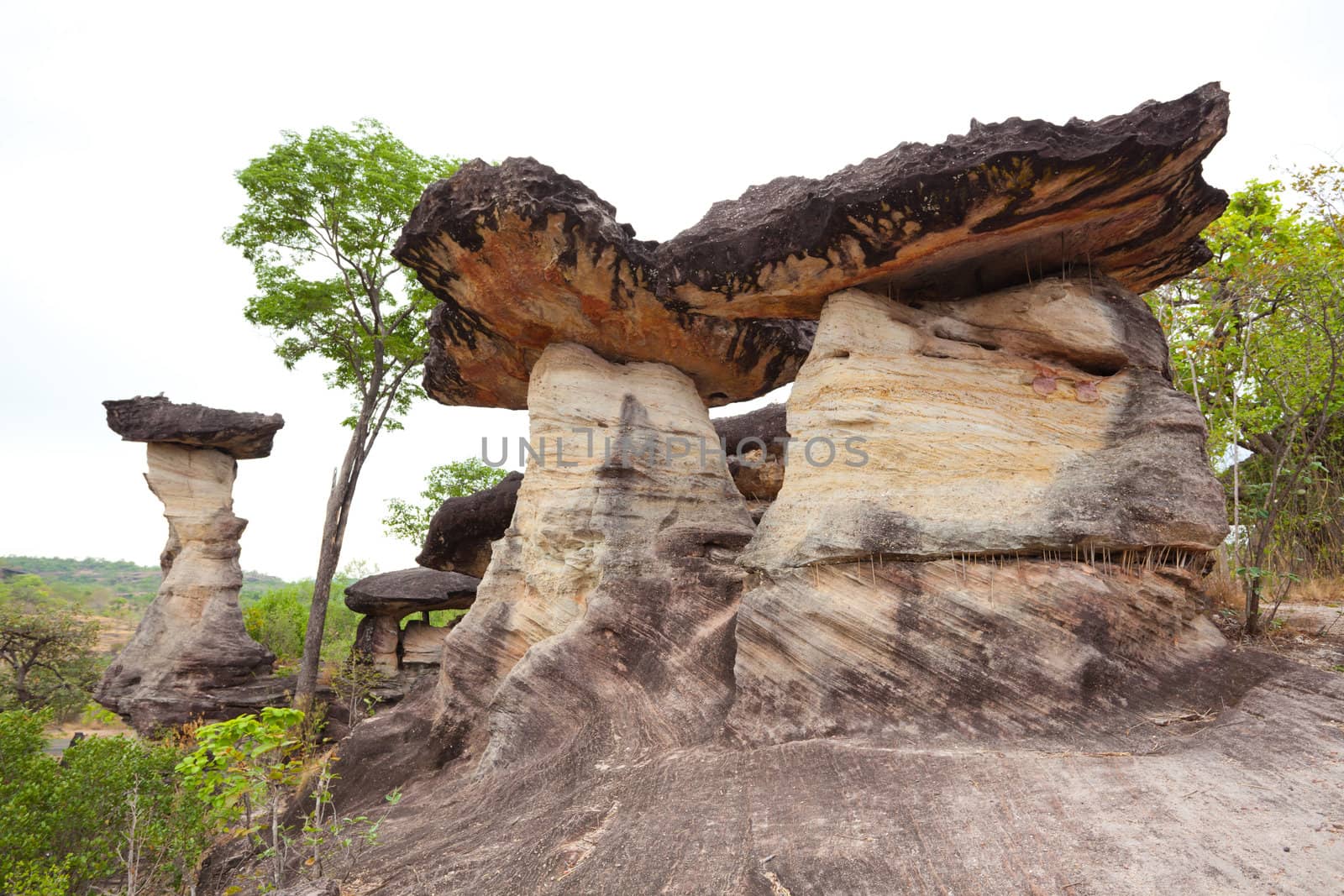 The Amazing of stone, Ubon Ratchathani, Thailand.