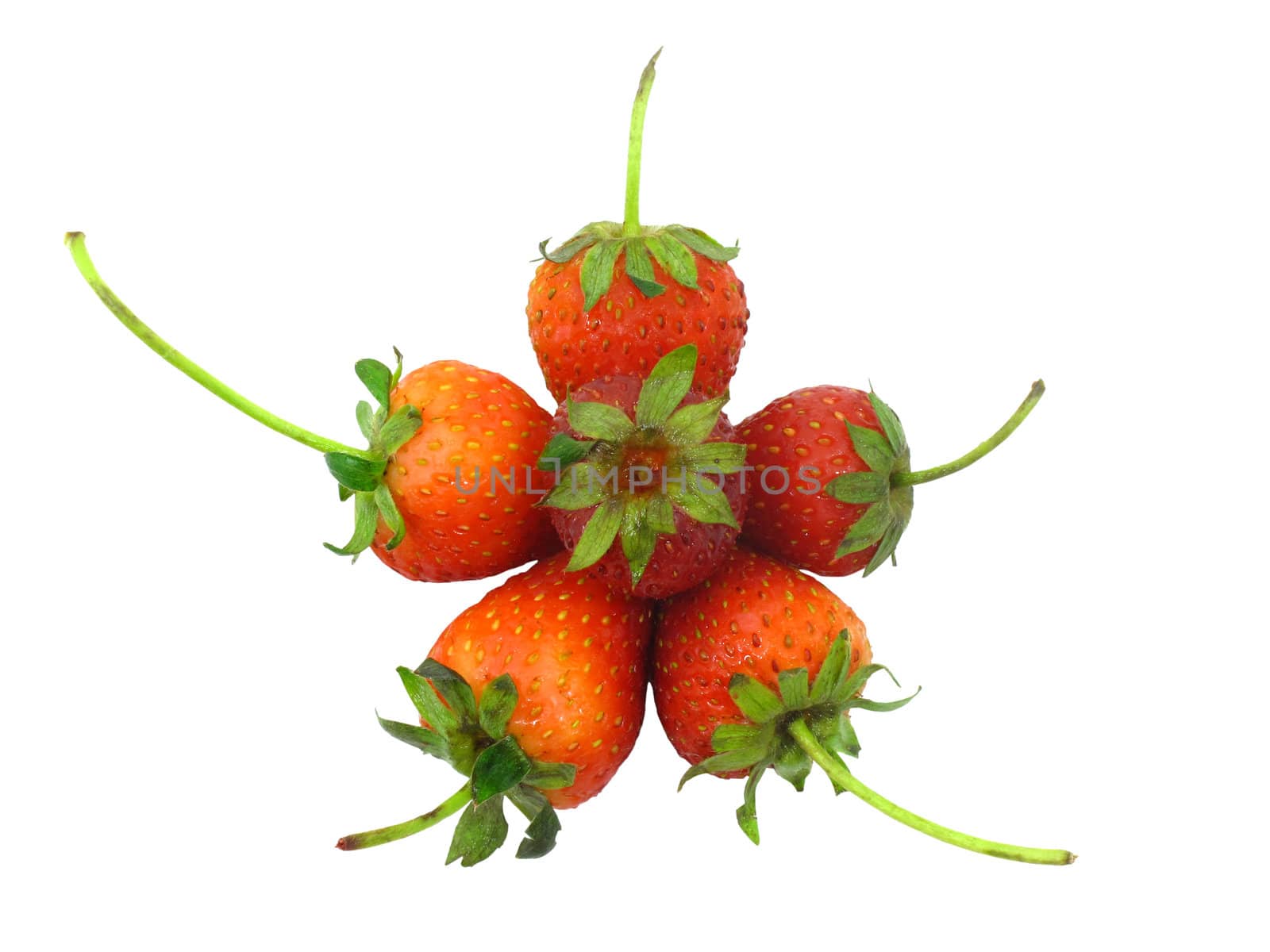 Six strawberries in flower or star shape by iampuay