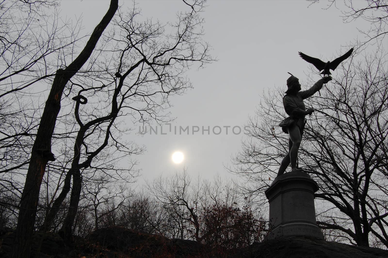 The Falconer, Central Park by tyroneburkemedia@gmail.com
