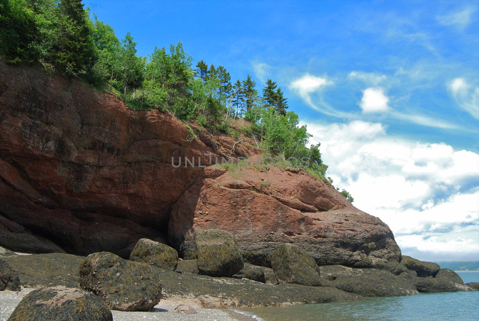 These sea cliffs are located in New Brunswick's Fundy National Park, on the Bay of Fundy.