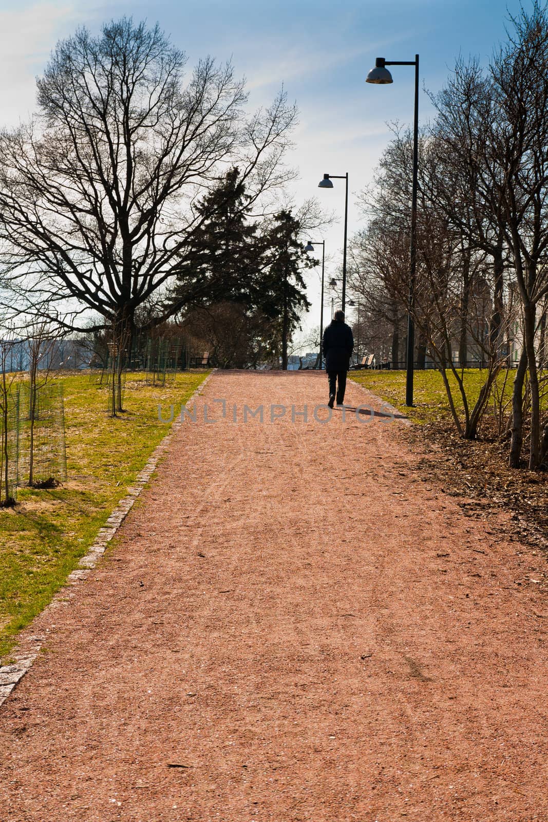 road at a park and a person walking