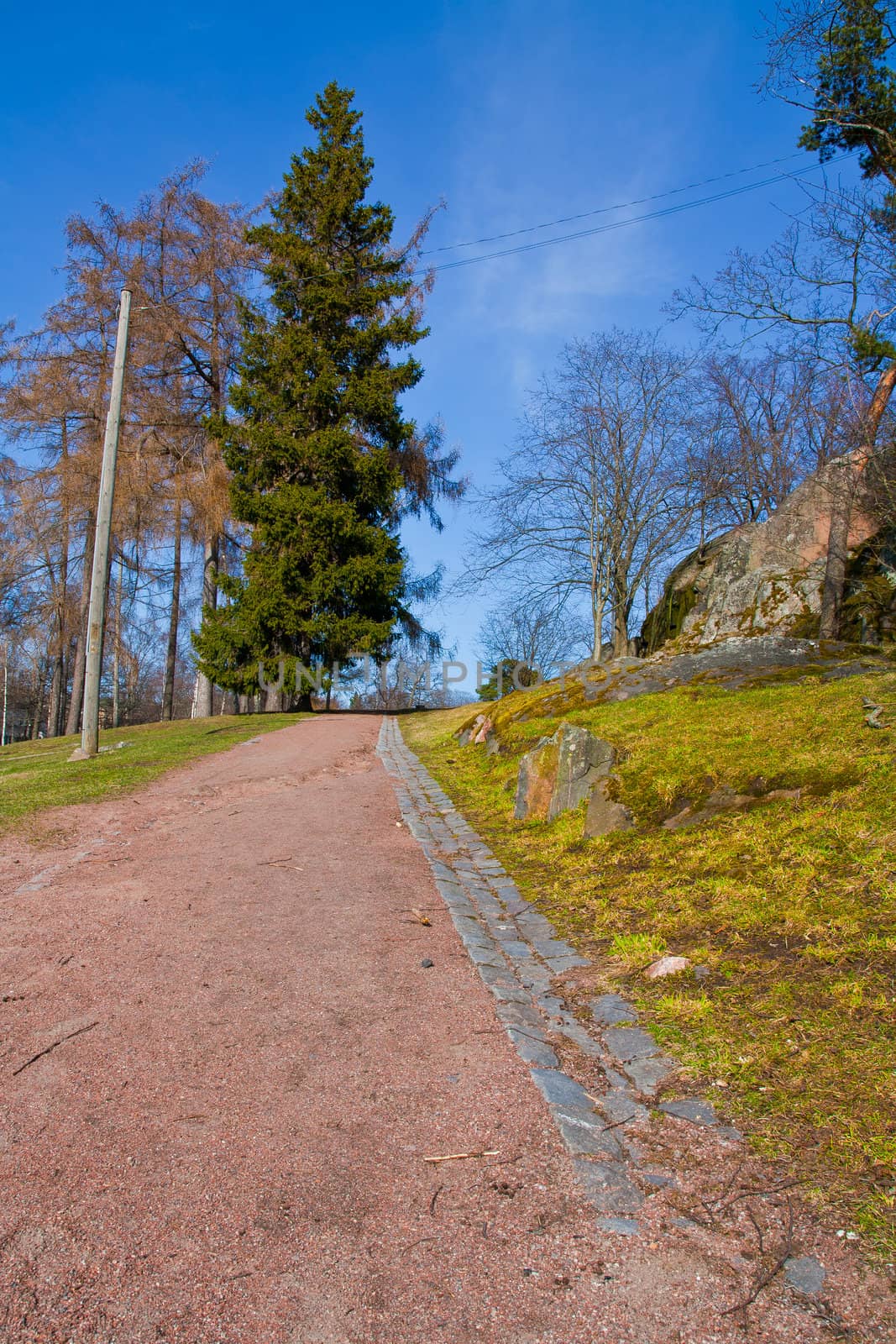 Road at a park spring time in Finland