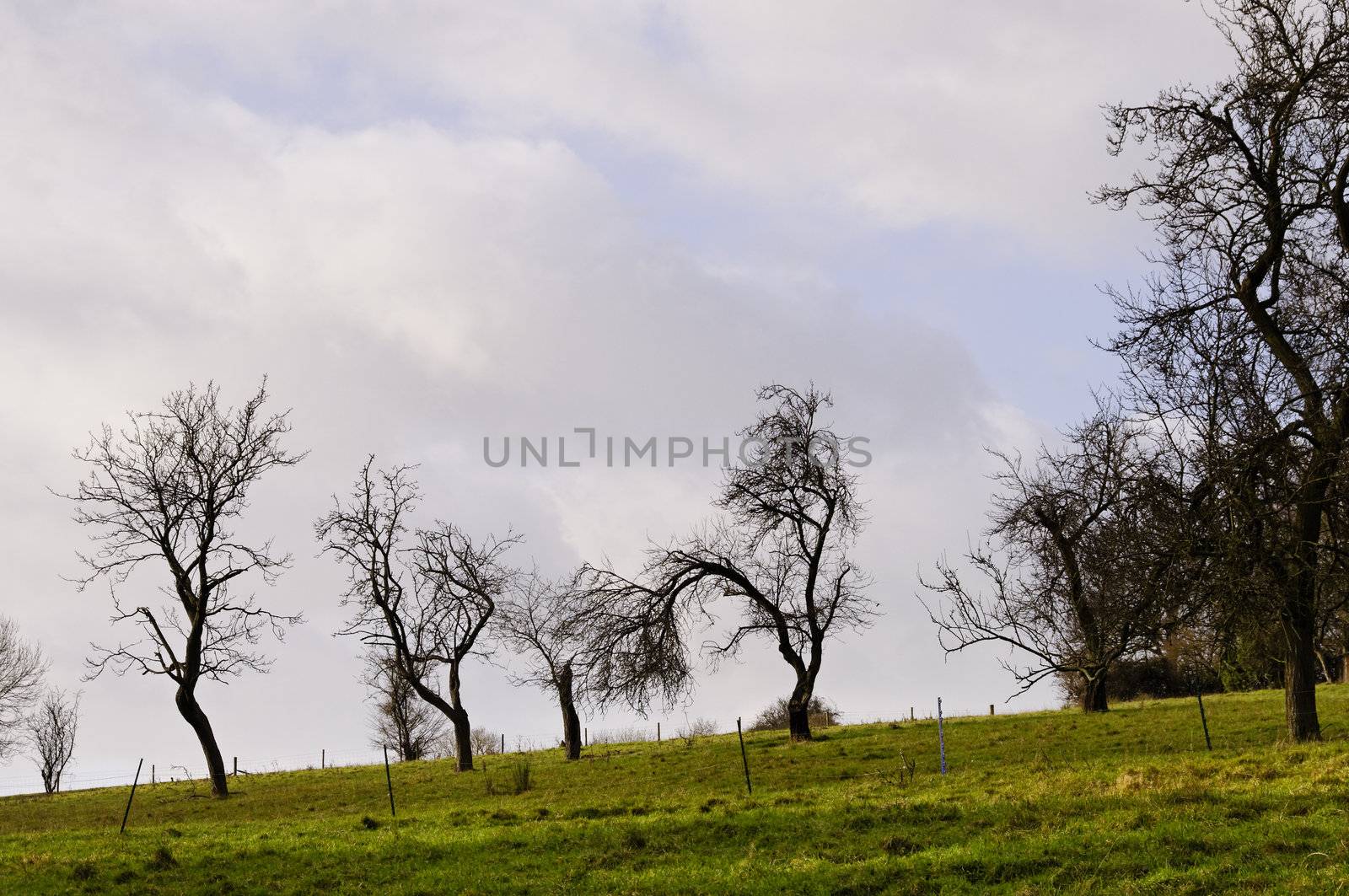 British landscape in winter, UK