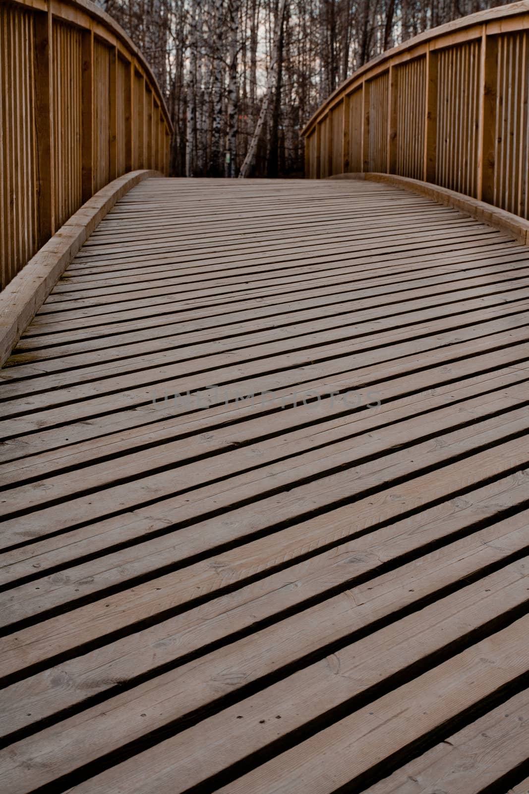 wooden bridge by ugibugi