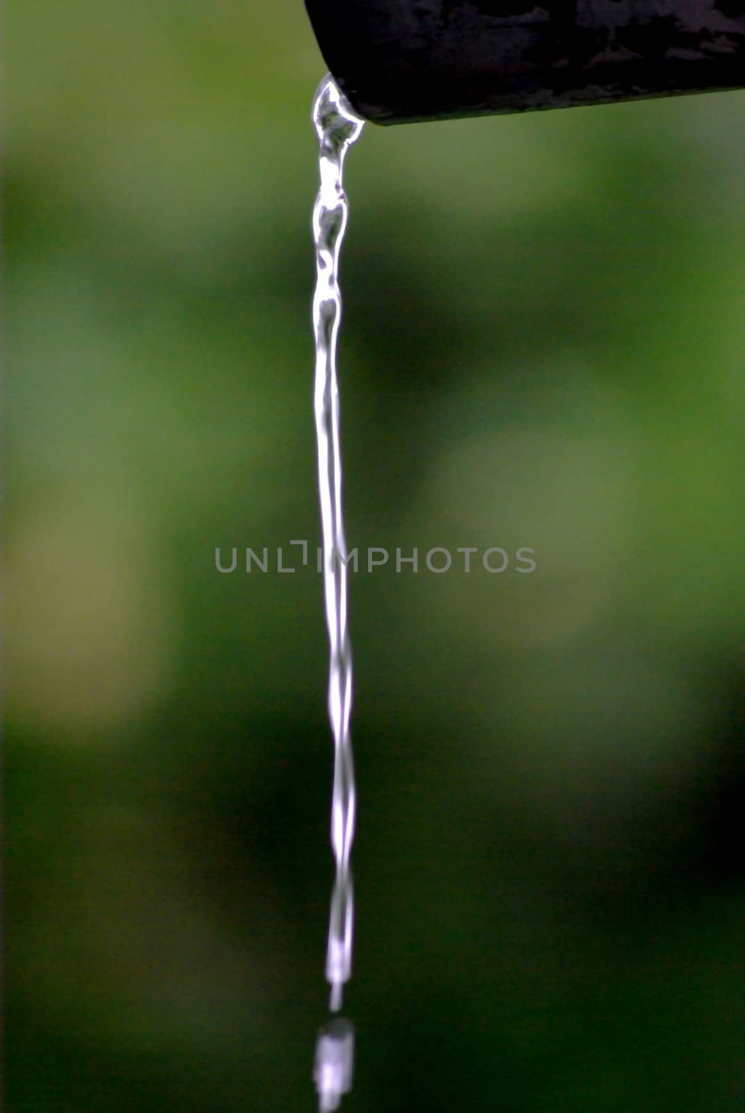 Water drop with green background