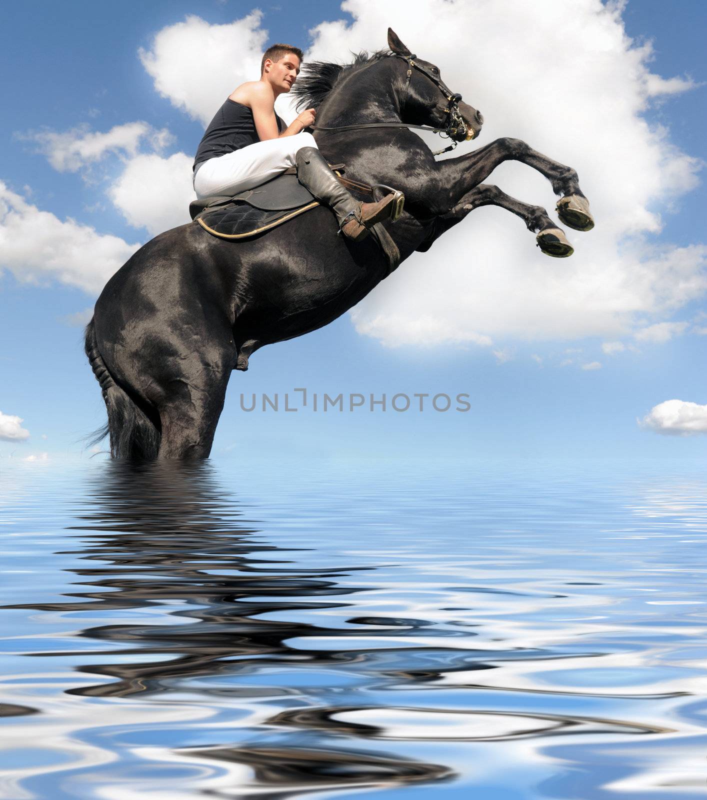 rearing horse in the water by cynoclub