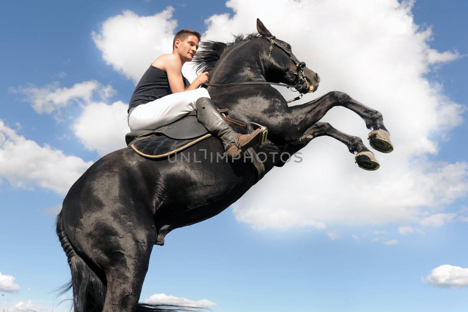 young man and her beautiful black stallion rearing up