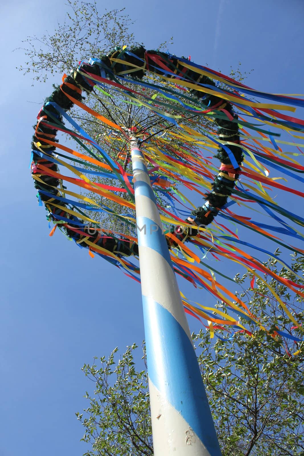 german maypole