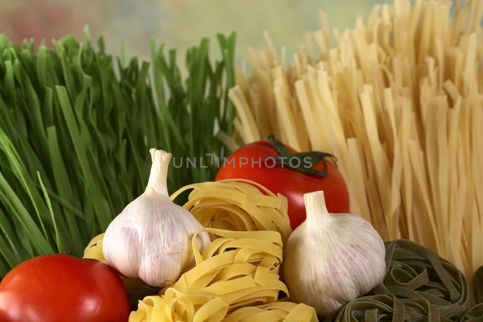 Raw tagliatelle paglia e fieno (straw and hay) with raw garlic bulbs and globe tomato (Selective Focus, Focus on the front of the garlic bulbs and the front of the yellow tagliatelle between them)