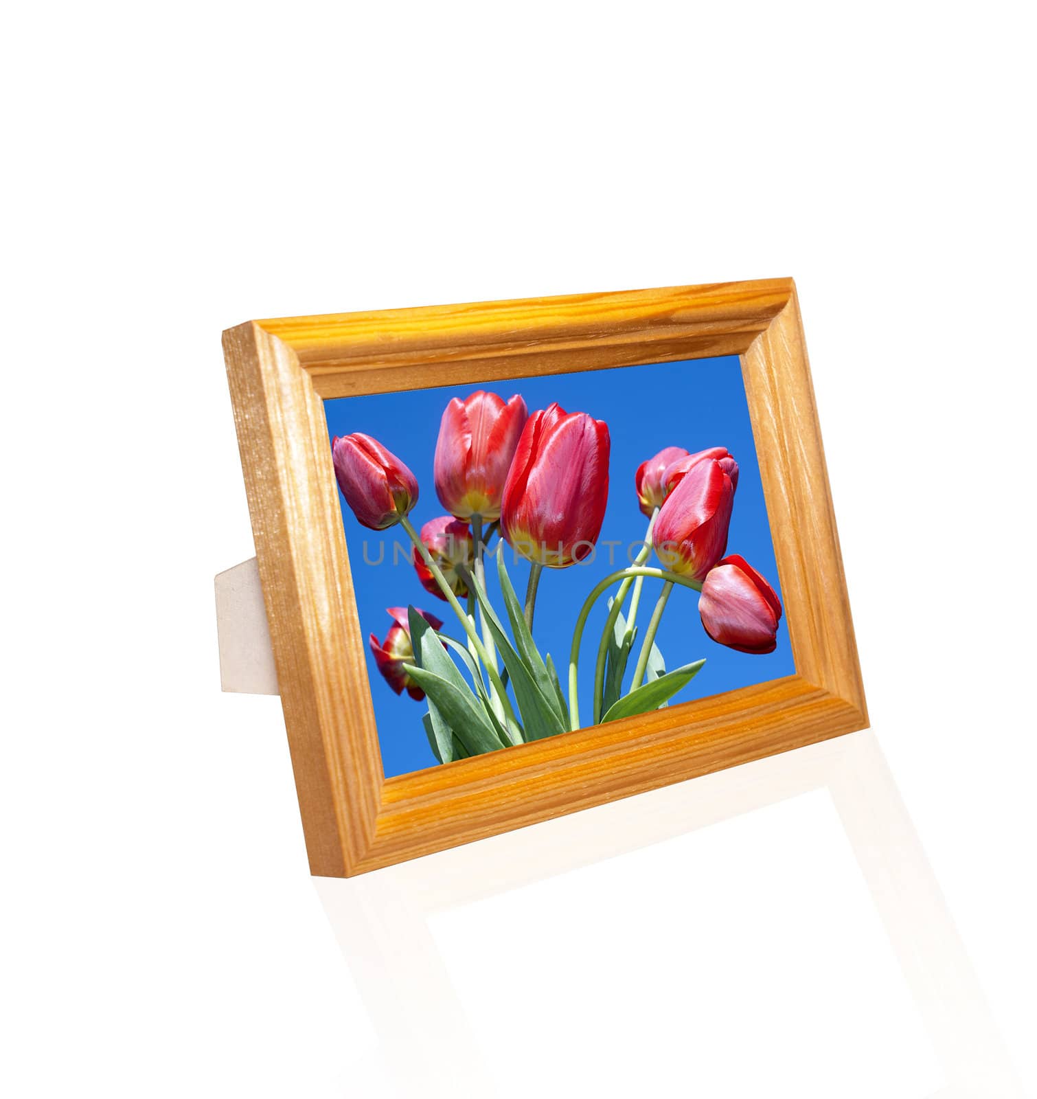 Decorative frame for a photo  on a white background