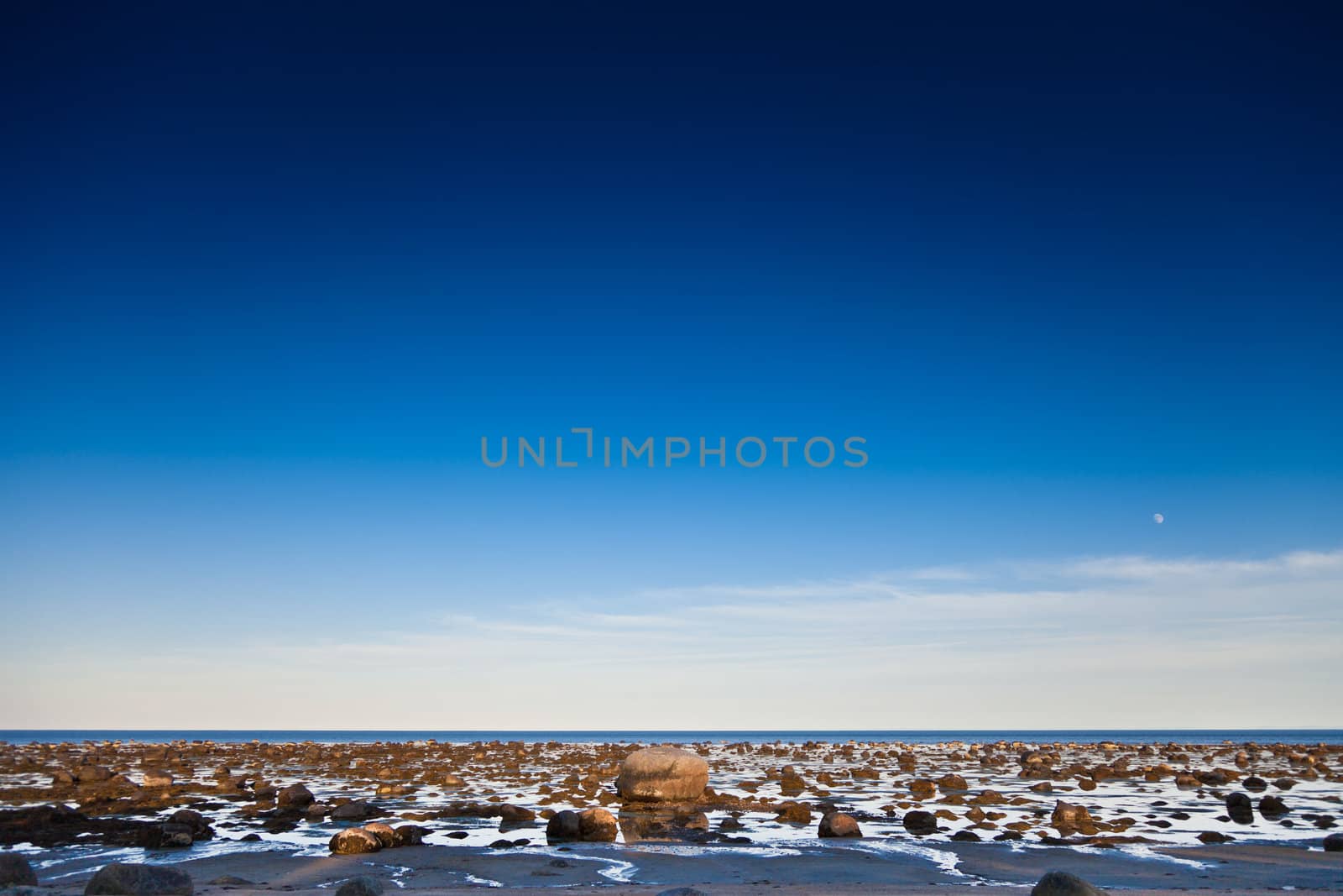 View of the skyline - low tide