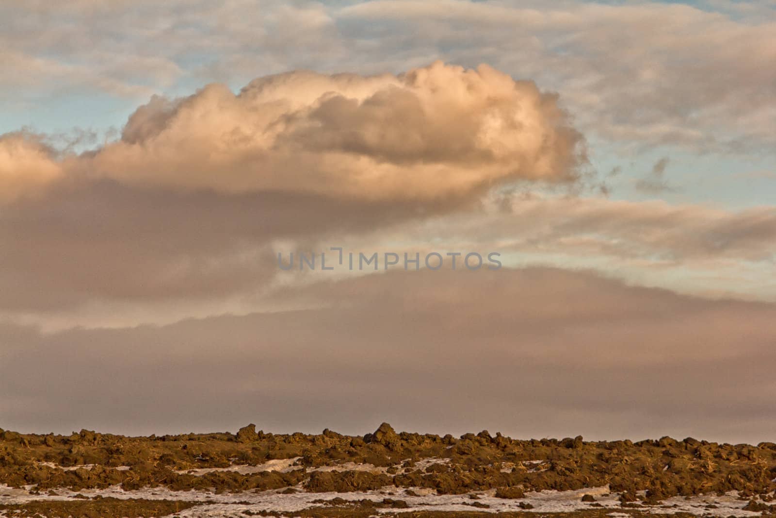 Saskatchewan Landscape by derejeb