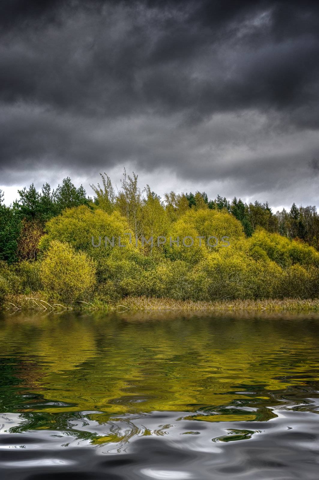 storm clouds over the forest and the lake