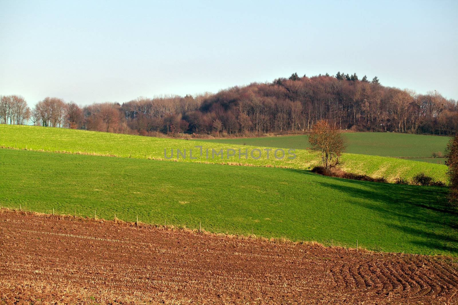 view with pastures and plowed field on the hills