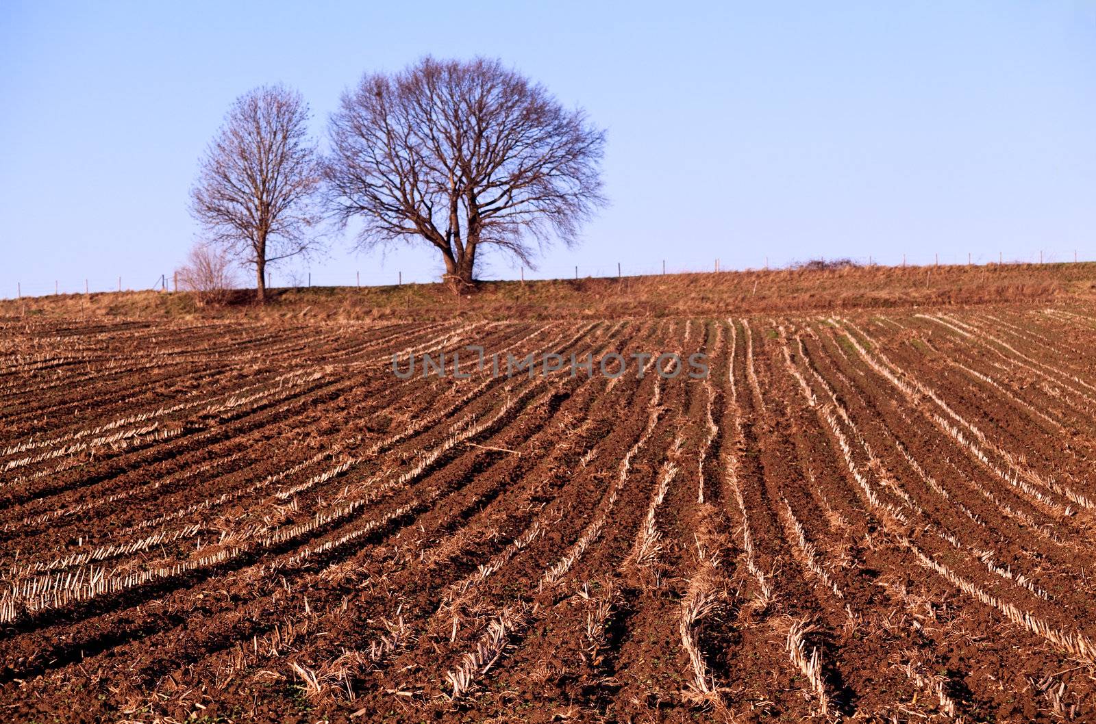 plowed field  by catolla