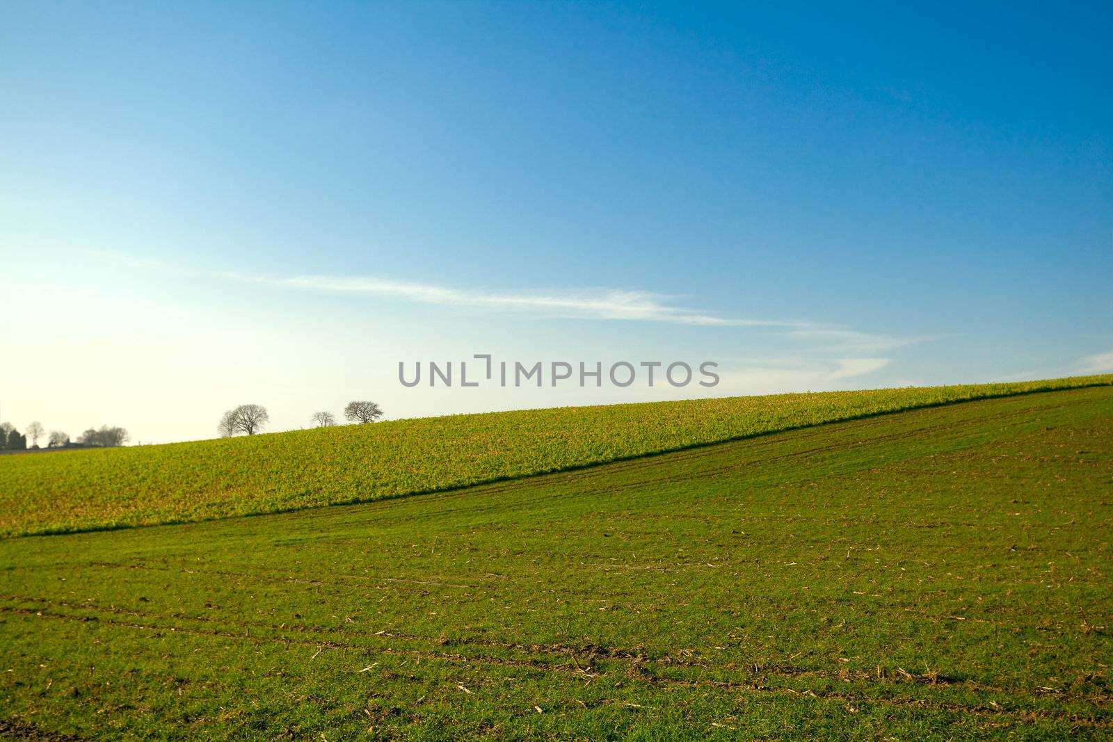 abstract landscape with pasture and clean blue sky