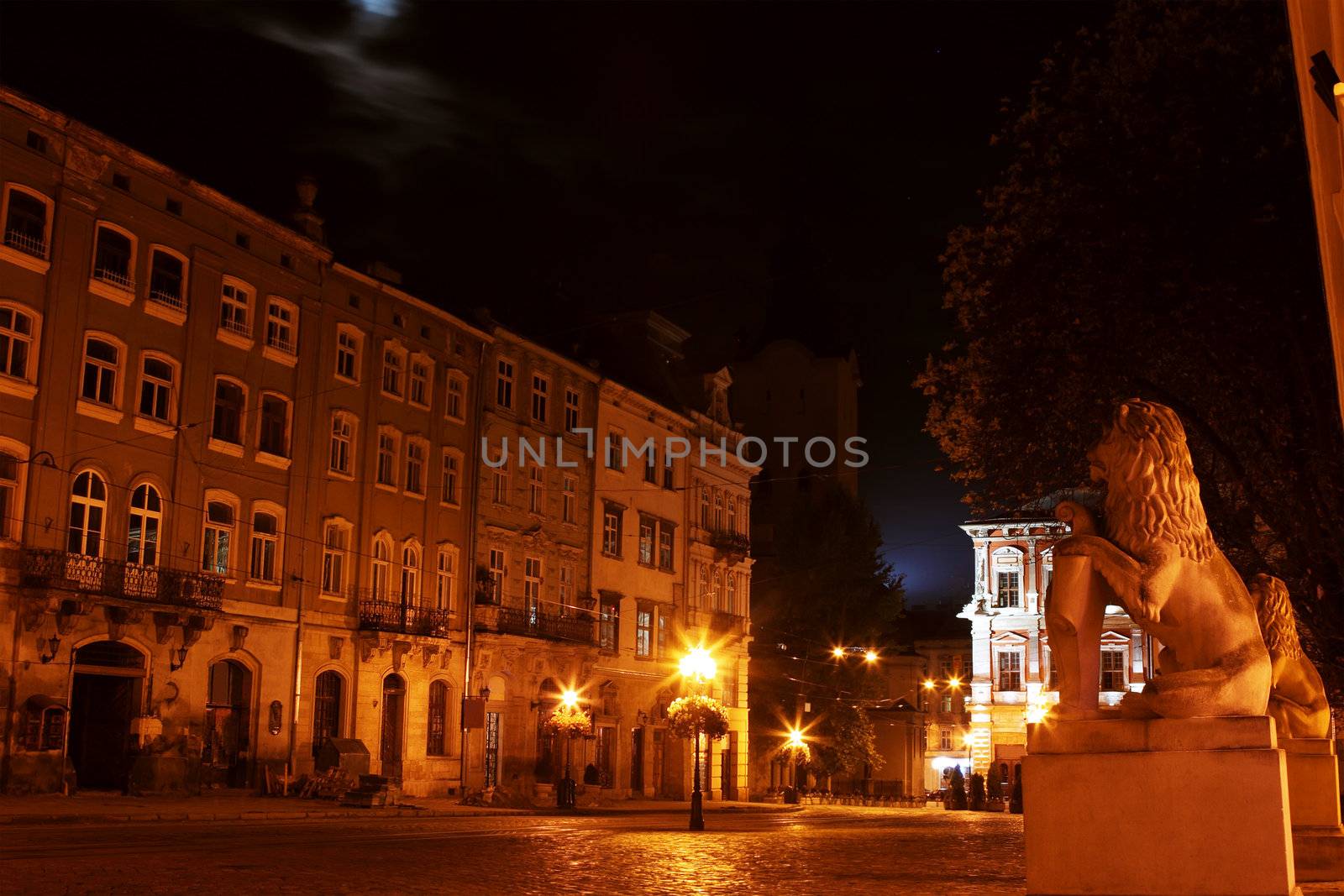 Lviv Rynok Square with City hall at night