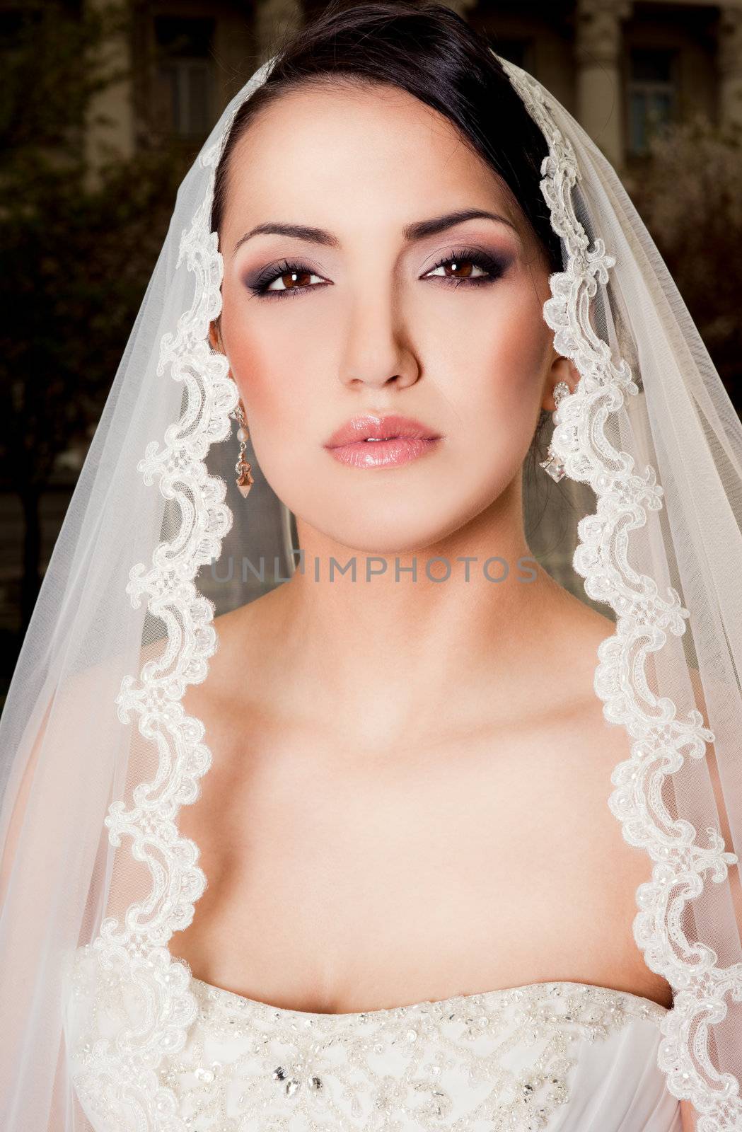 Portrait of beautiful bride with white veil over head on dark background