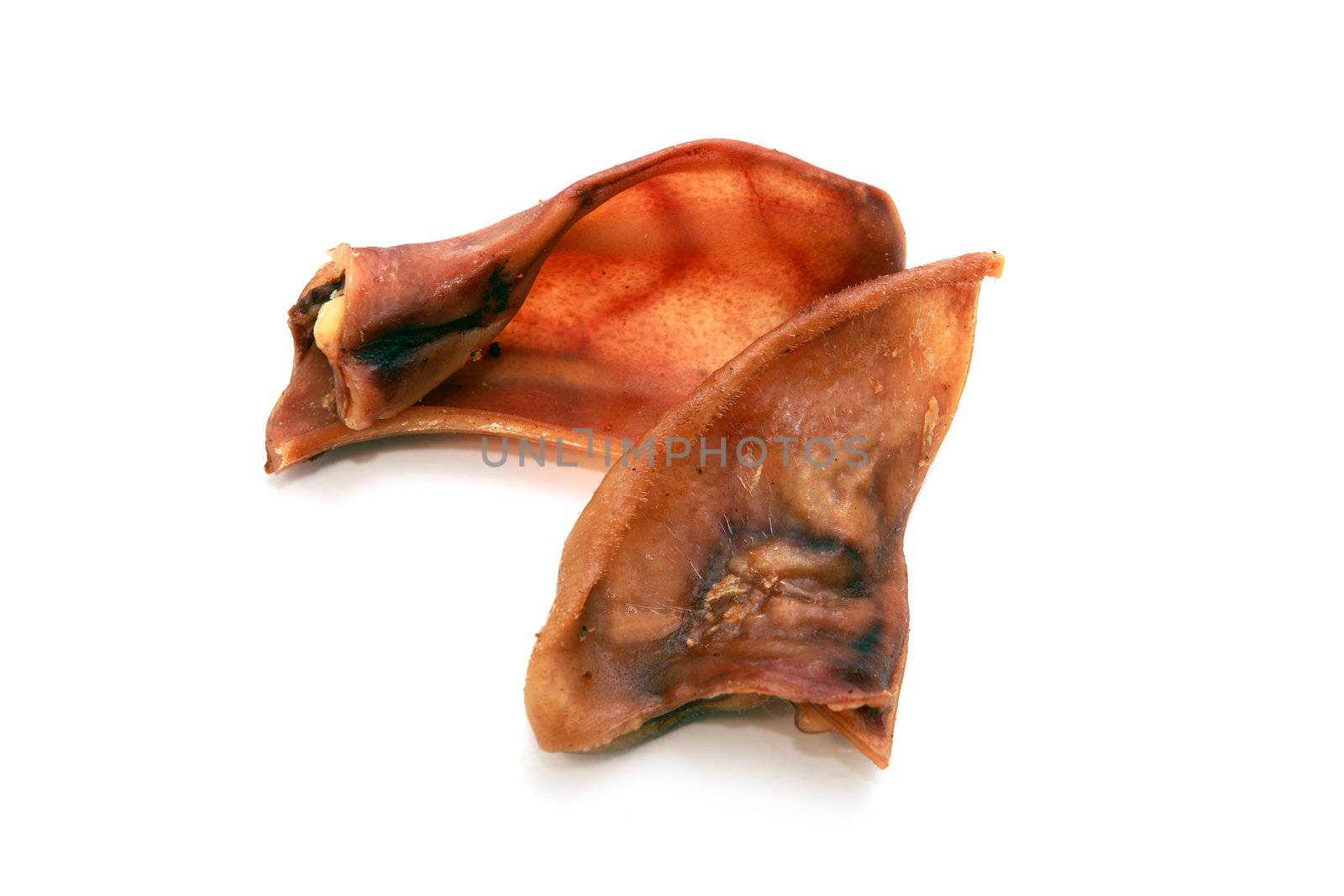 dog chews - dry pigs ears by catolla