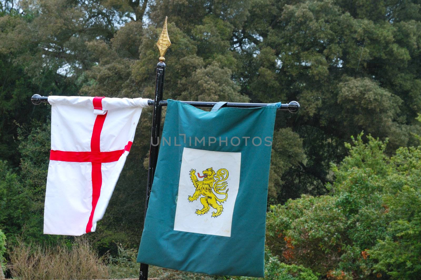 Heraldic Flags george cross and rampant lion