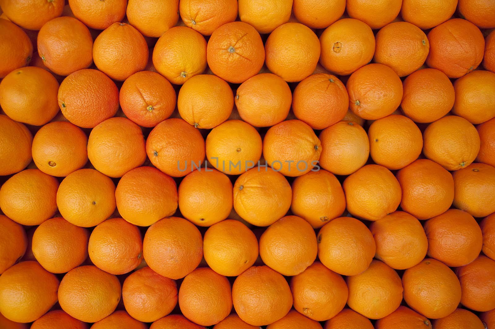 Orange citrus fruit background