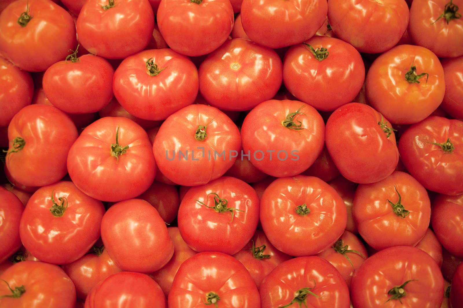 Tomatoes by f/2sumicron
