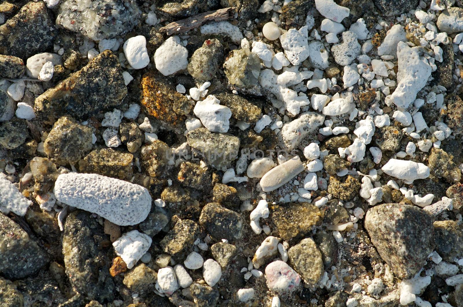 Seashore rocks, shells and corals background by zhekos